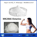 Sarms de musculation Mk-2866 Mk2866 Enobosarm CAS1202044-20-9 / 841205-47-8 Ostarine